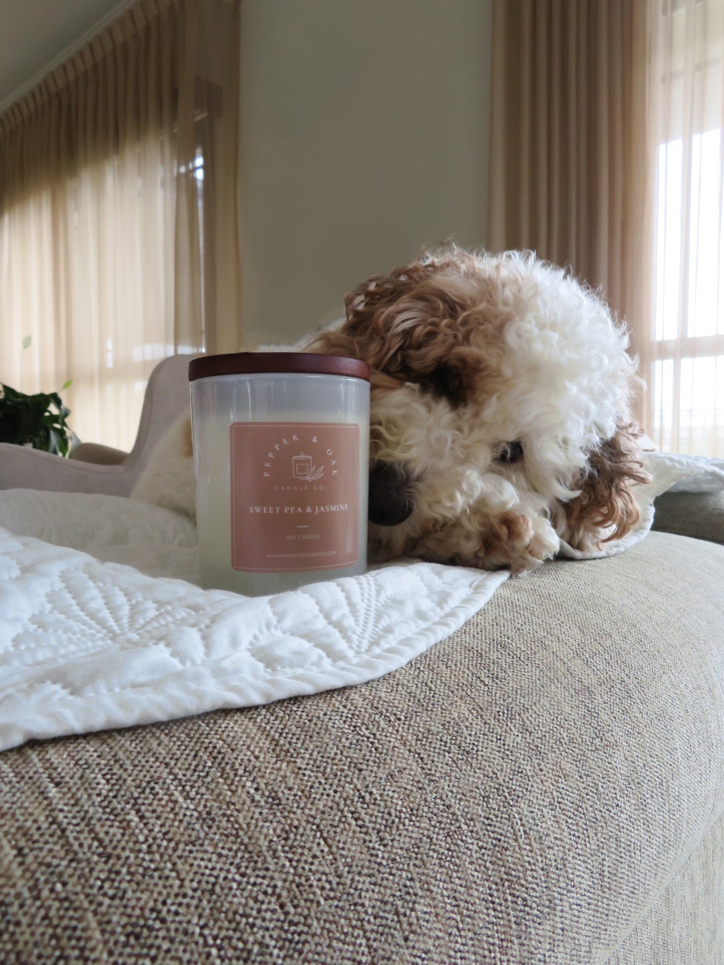Pepper & Oak Candle next to a puppy